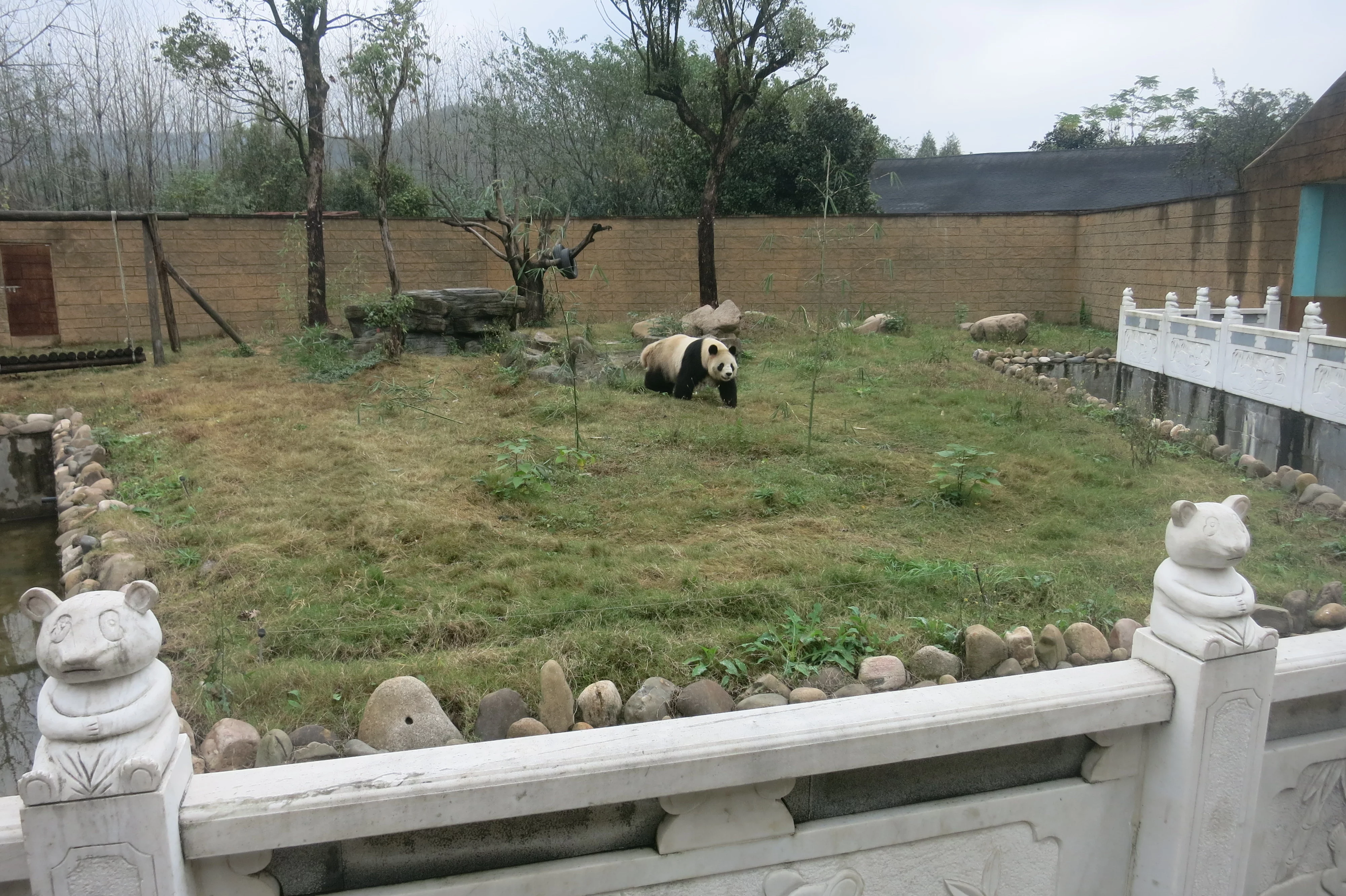 Hangzhou Safari Park