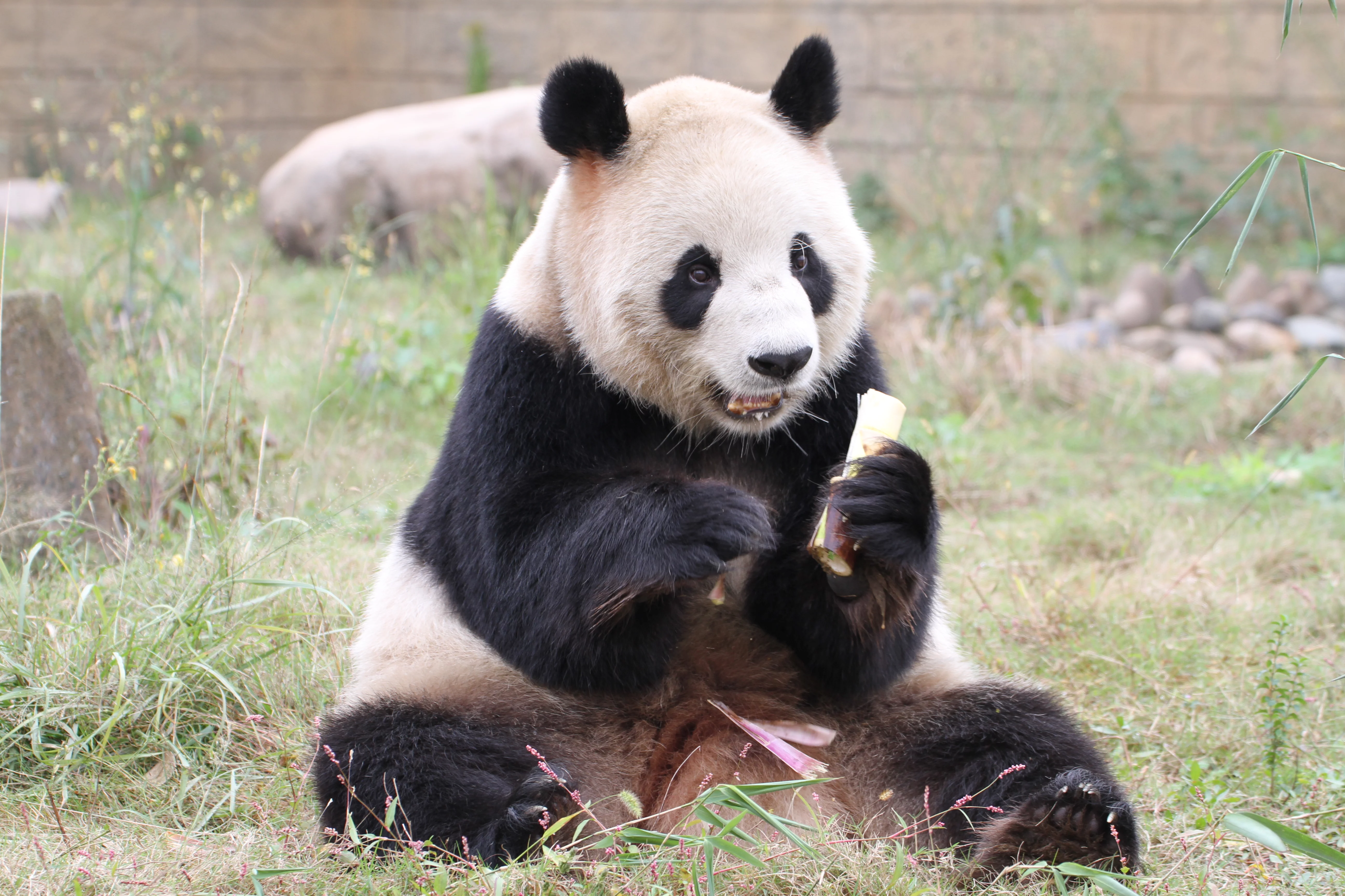 Hangzhou Safari Park
