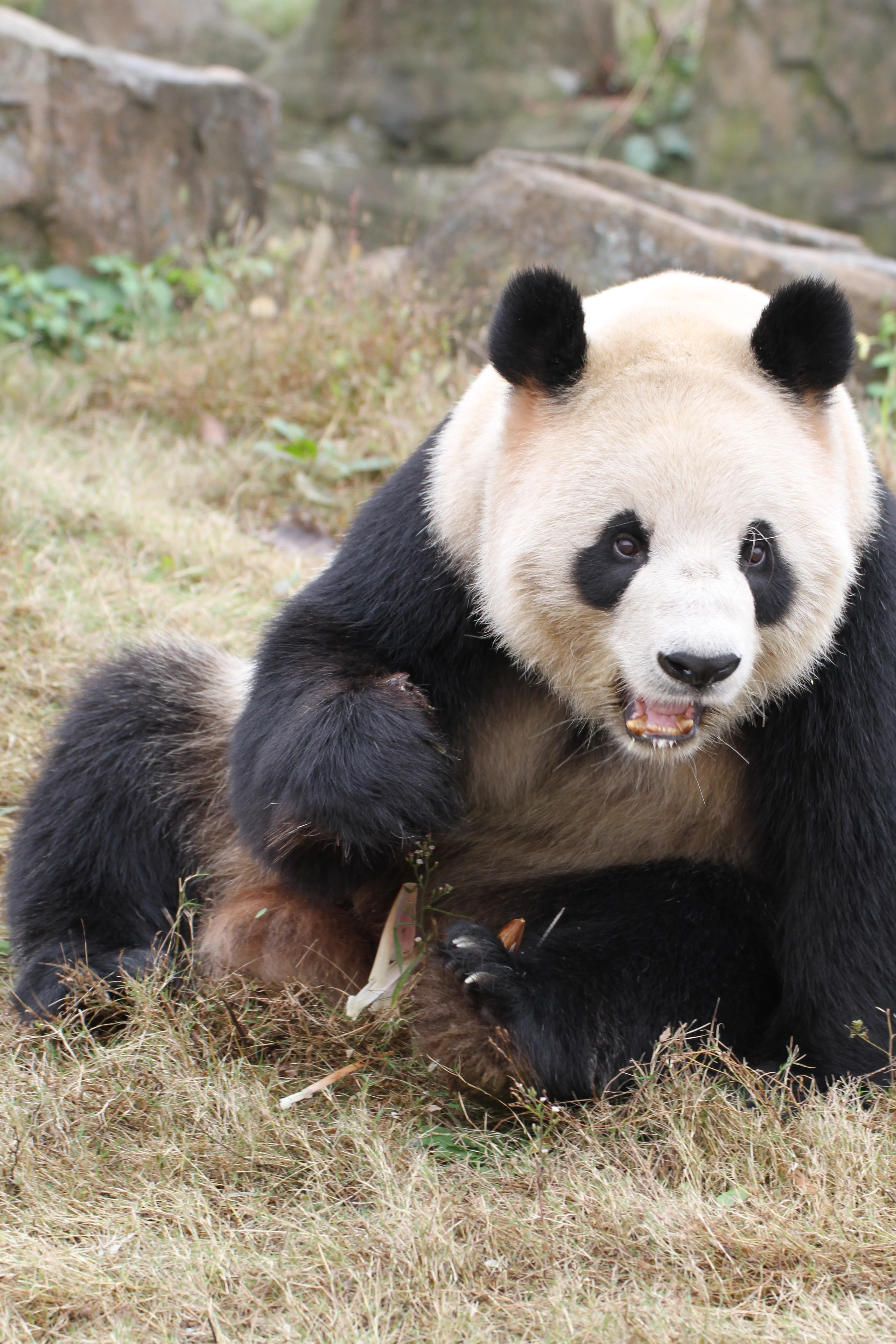 Hangzhou Safari Park
