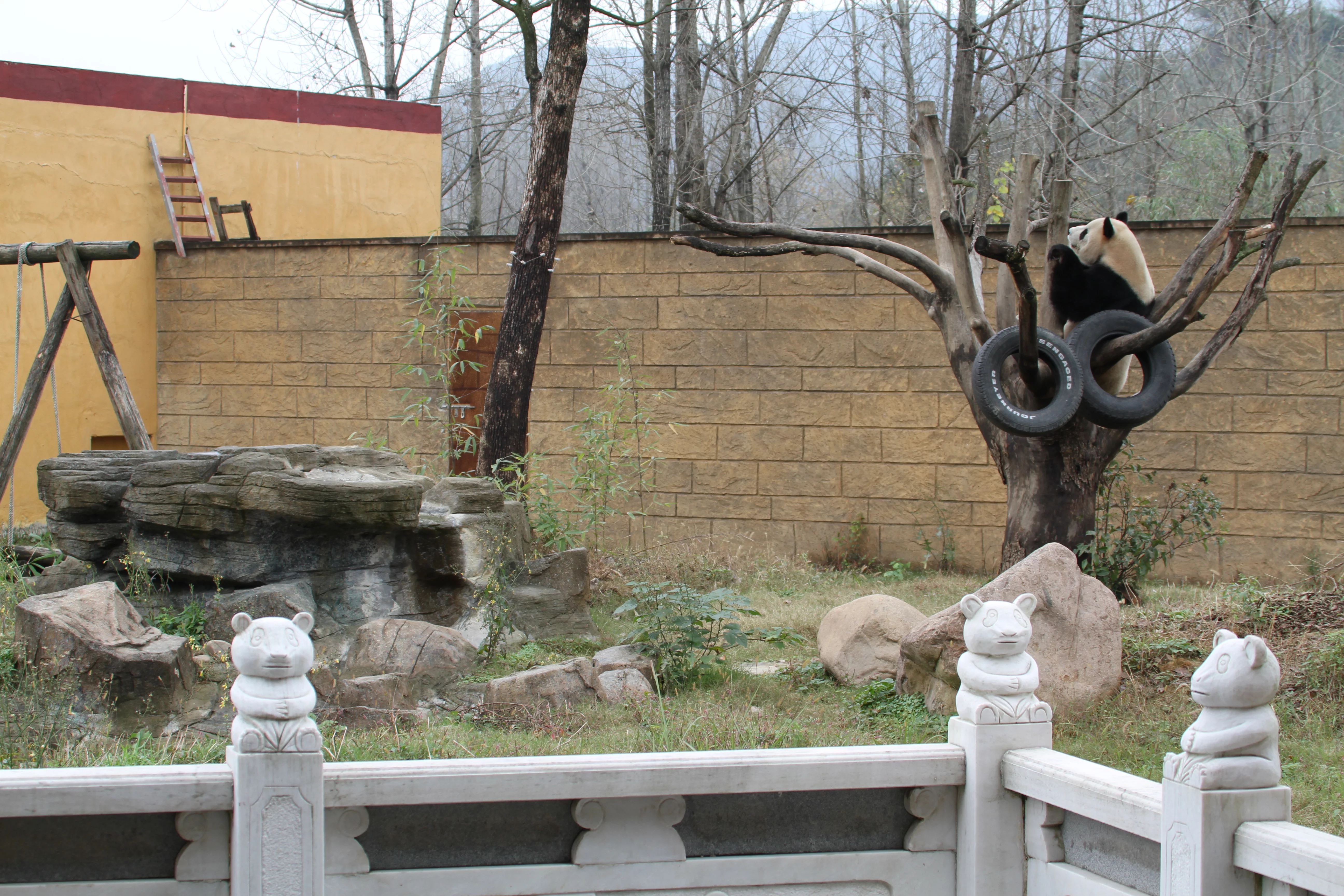 Hangzhou Safari Park