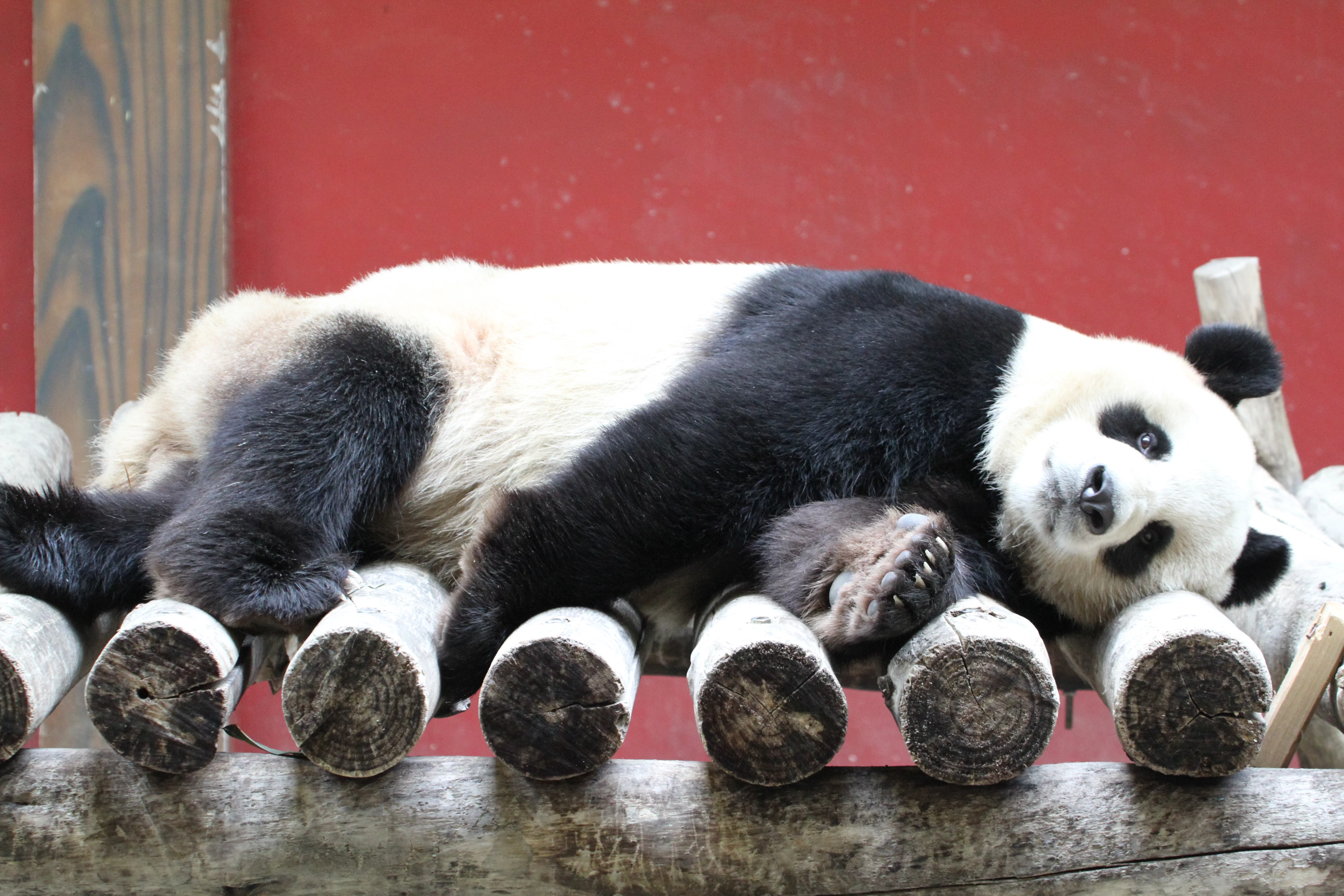 Hangzhou Safari Park