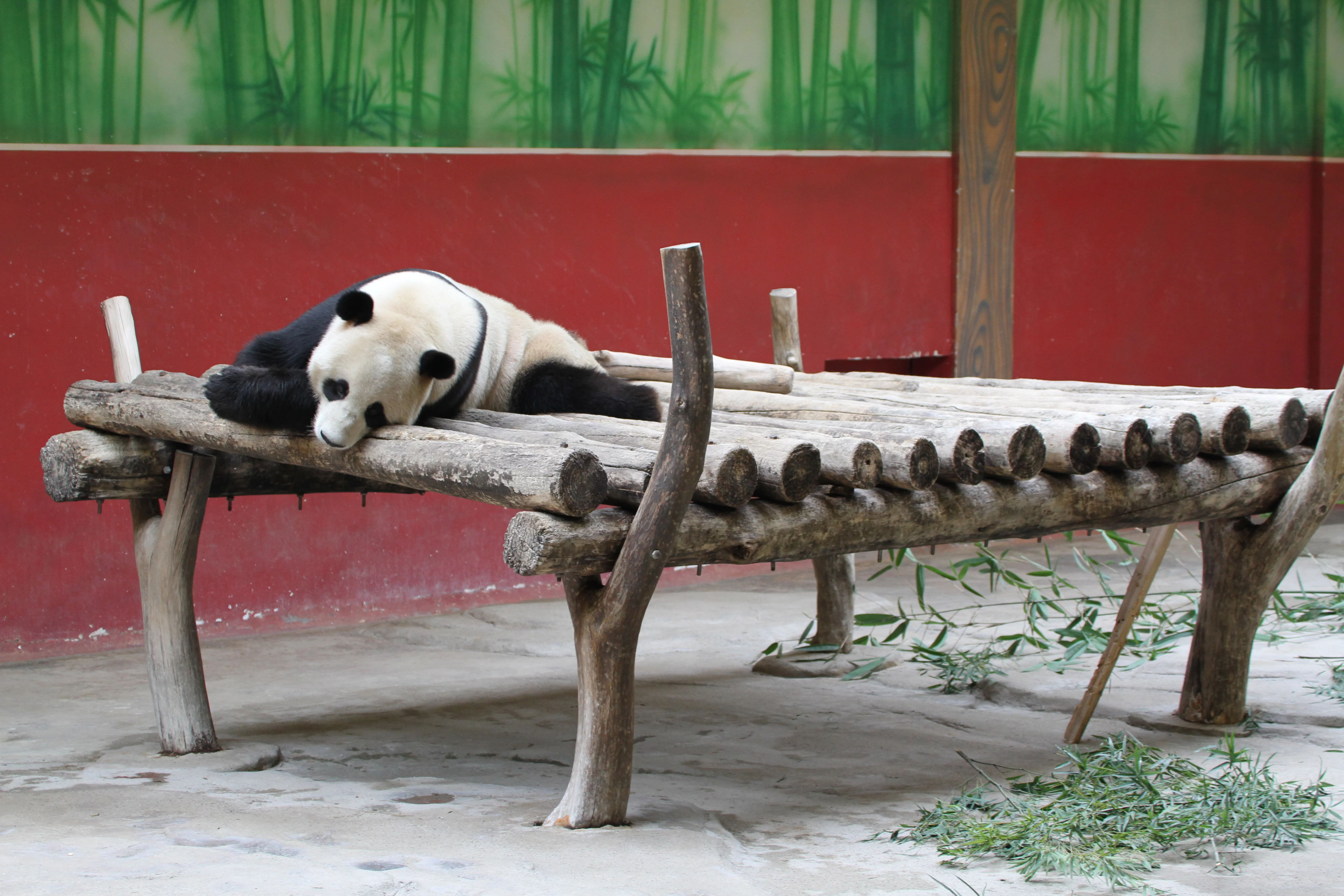 Hangzhou Safari Park