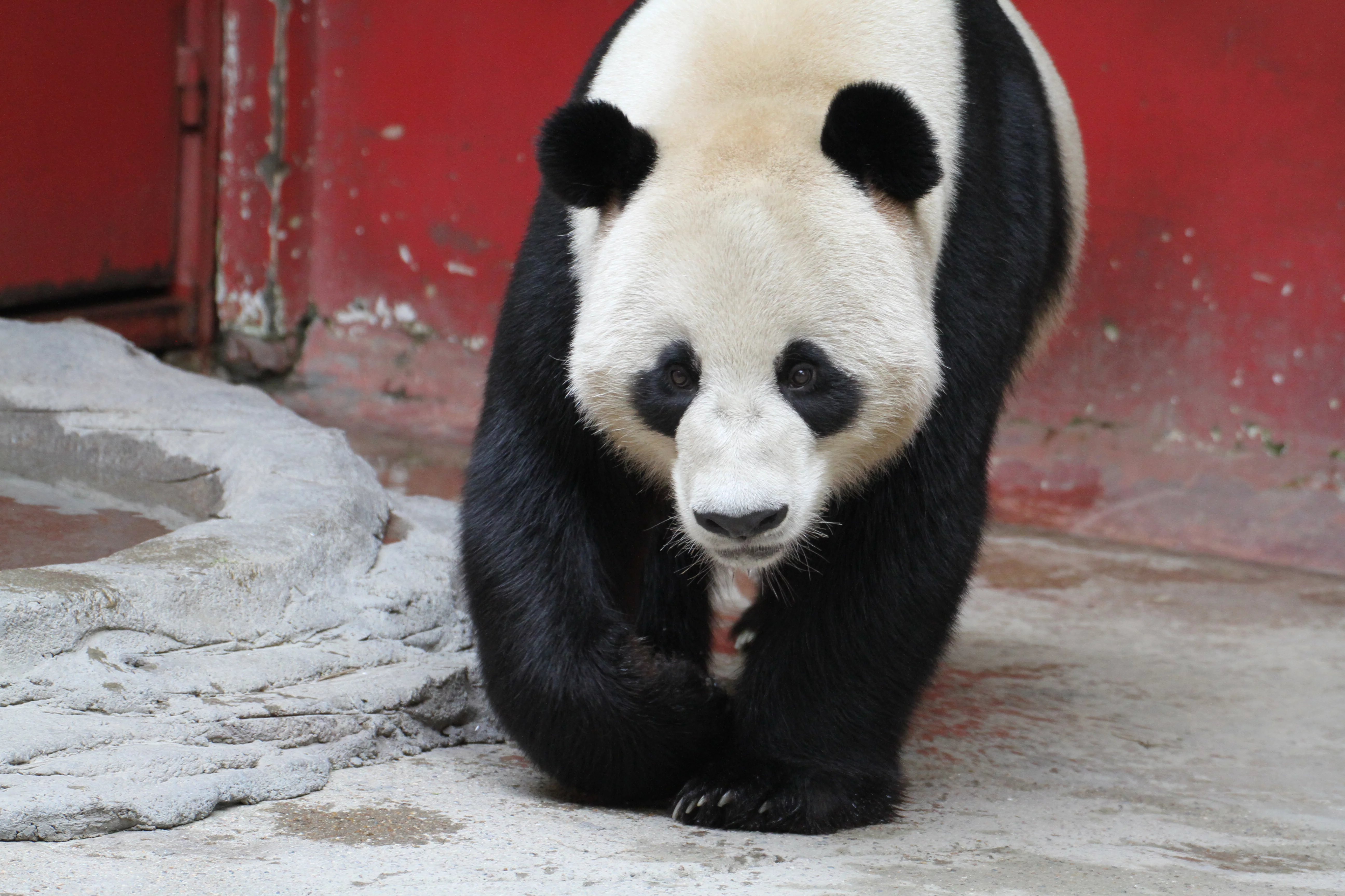 Hangzhou Safari Park