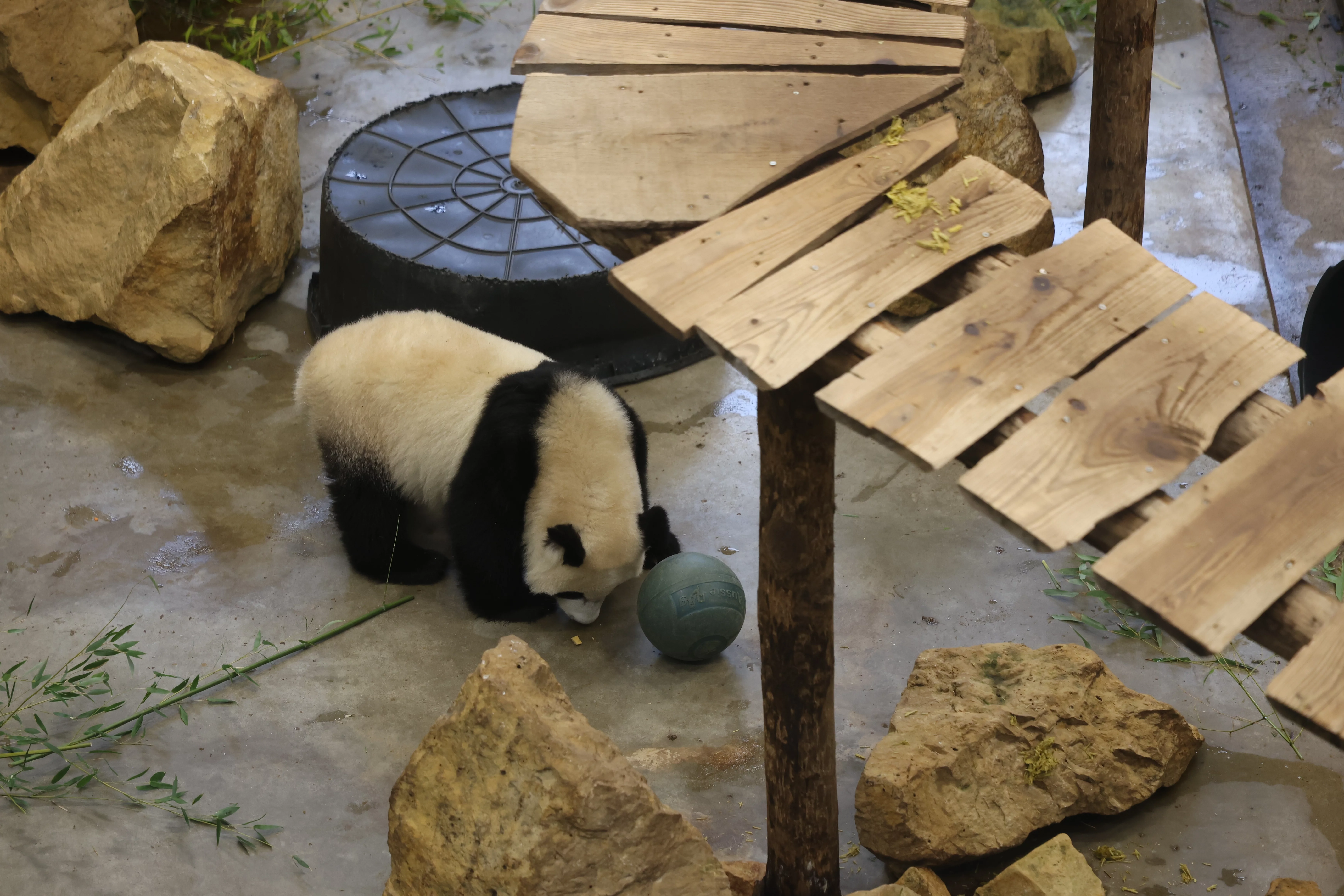 Ouwehands Dierenpark Rhenen