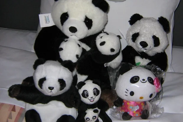 Sendai Yagiyama Zoological Park interested in giant pandas