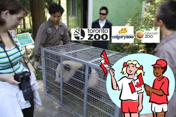 Pandas will come to Canada