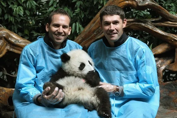 Golf Stars Harrington &amp;amp; Garcia visit Chengdu Panda Base