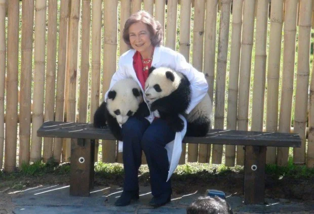 Po &amp; De De debuted outside with Queen Sofia