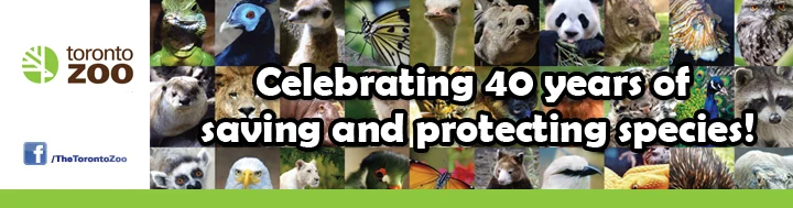 Toronto Zoo celebrates 40 Years of Saving and Protecting Species