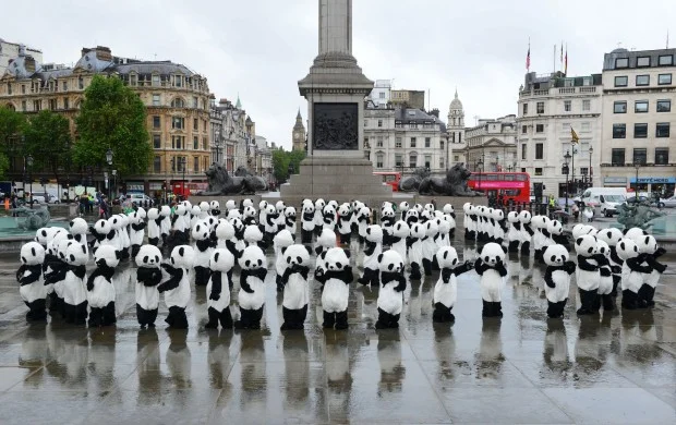 Pandas take over London - Panda Awareness Week