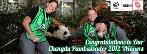 Pambassador 2012: Final Game