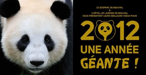 pandas.zoobeauval.com