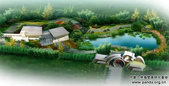 Qi Qi &amp;amp; Zhi Zhi visit the 9th China International Garden Expo in Beijing