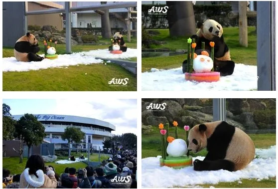 Ai Hin &amp;amp; Mei Hin celebrated their 5th Birthday