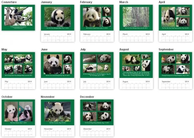 Looking for a 2014 Panda Calendar?