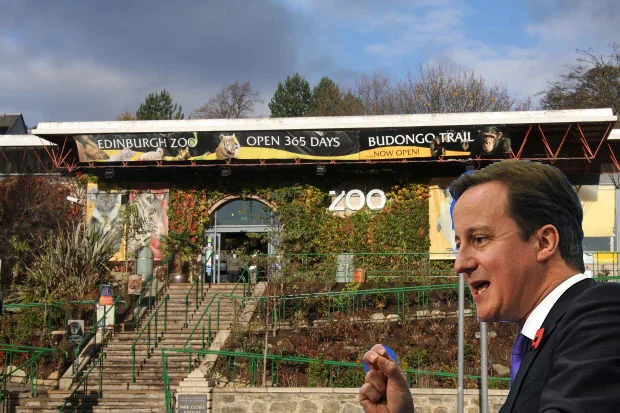 David Cameron backs Edinburgh Zoo's panda bid