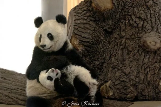 Fu Hu explores &amp; climbs