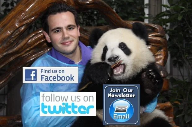 Be the first to receive updates on giant pandas