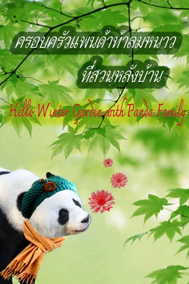 Merry Christmas and Happy New Year 2012 With Chiang Mai Zoo's Panda Family