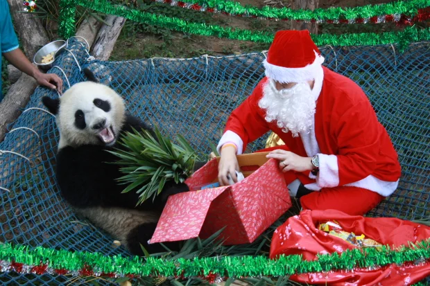 Santa Claus visits Lin Ping