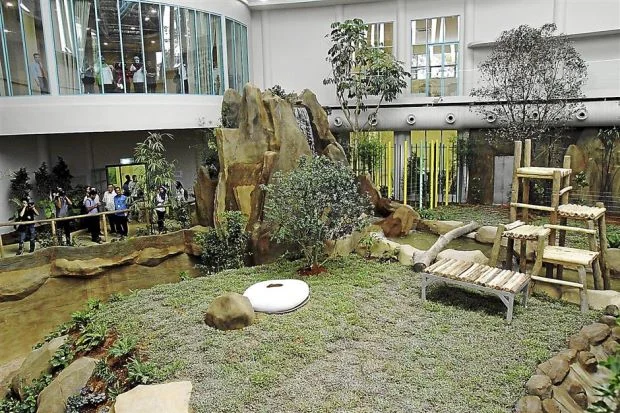 Zoo Negara is almost ready for Fu Wa &amp;amp; Feng Yi