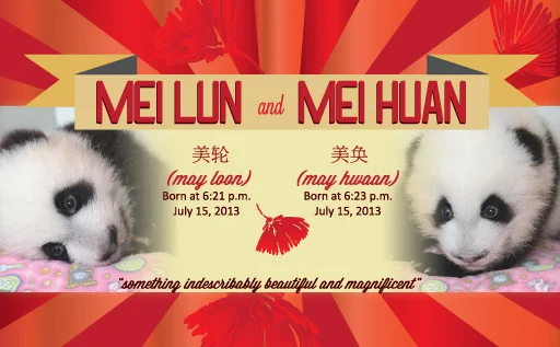 Zoo Atlanta's twins named Mei Lun &amp;amp; Mei Huan