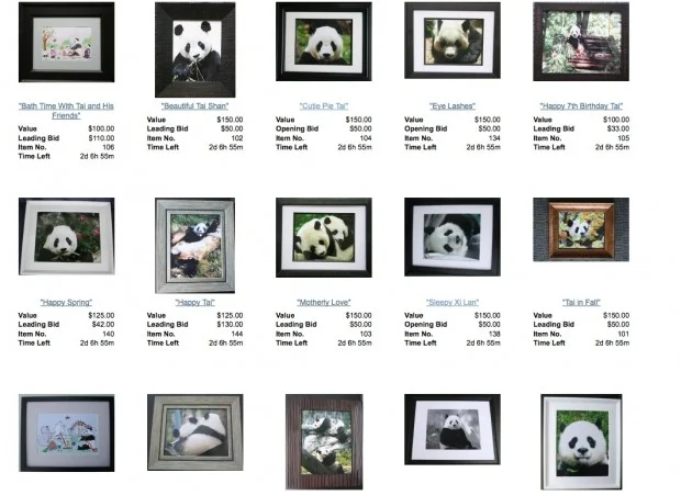 Pandas International Summer Online Auction