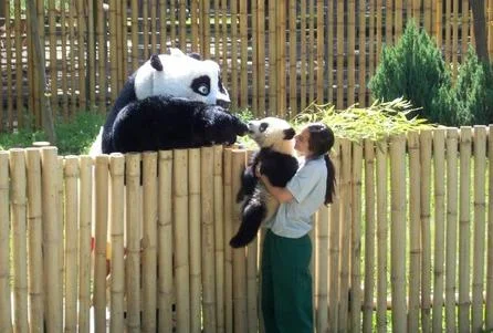 Po meets Po