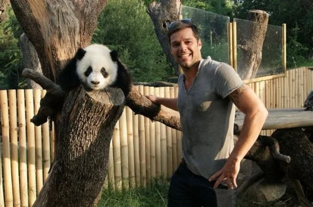 Ricky Martin visits Zoo Madrid
