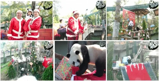 Lin Ping celebrates Christmas &amp;amp; New Year 2012