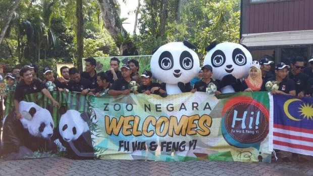 Feng Yi &amp;amp; Fu Wa arrived in Malaysia