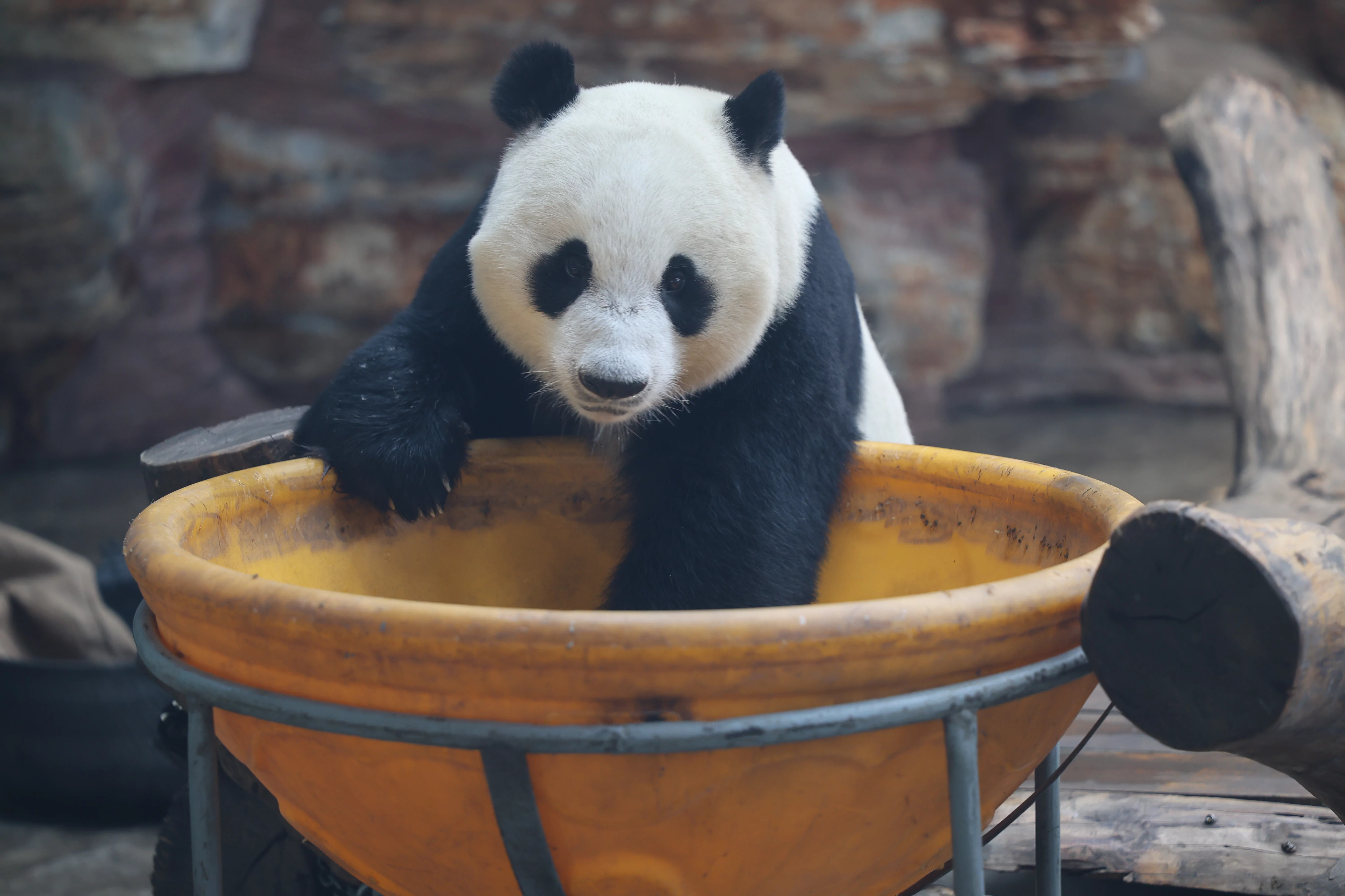 Qian Bao