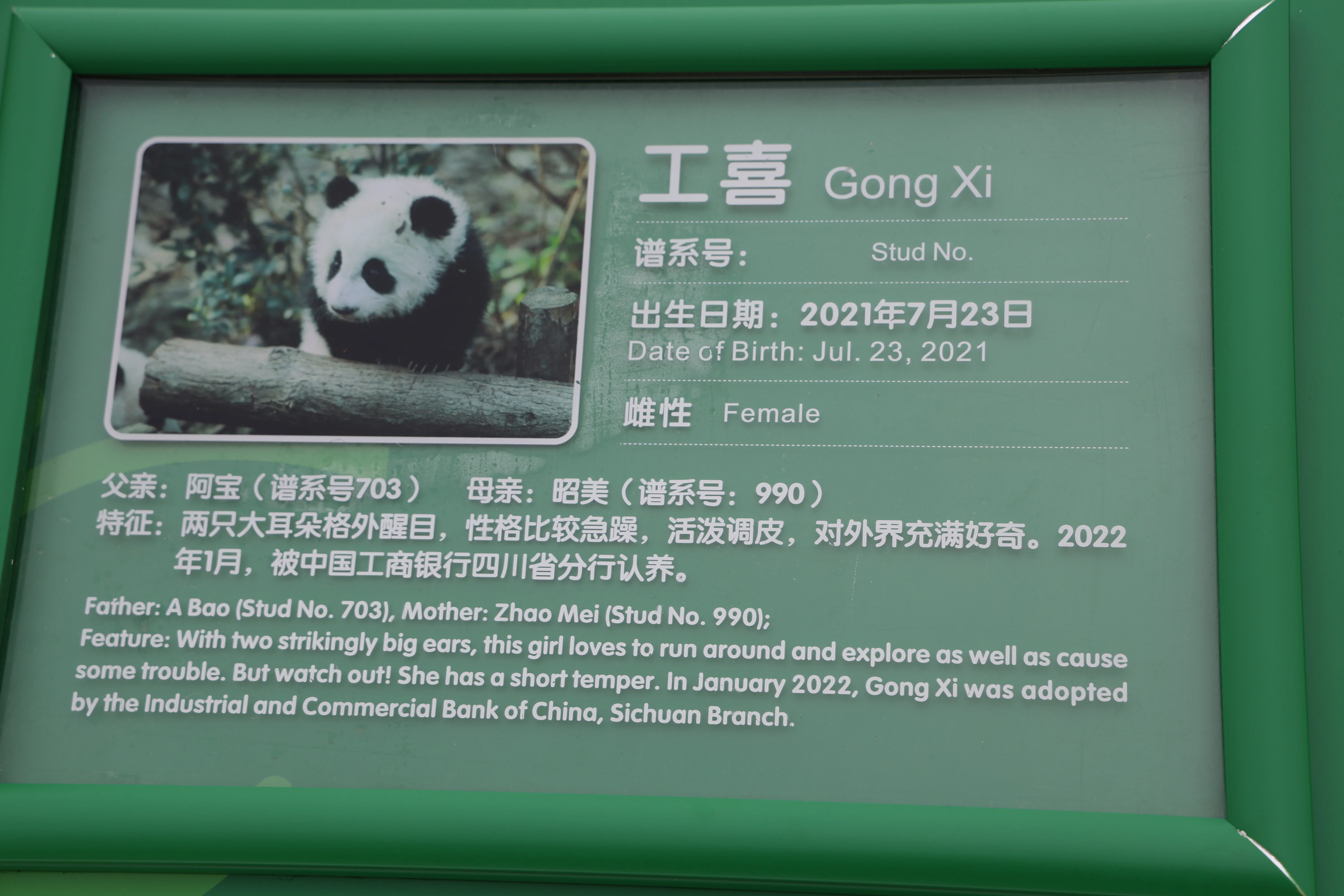 Gong Xi