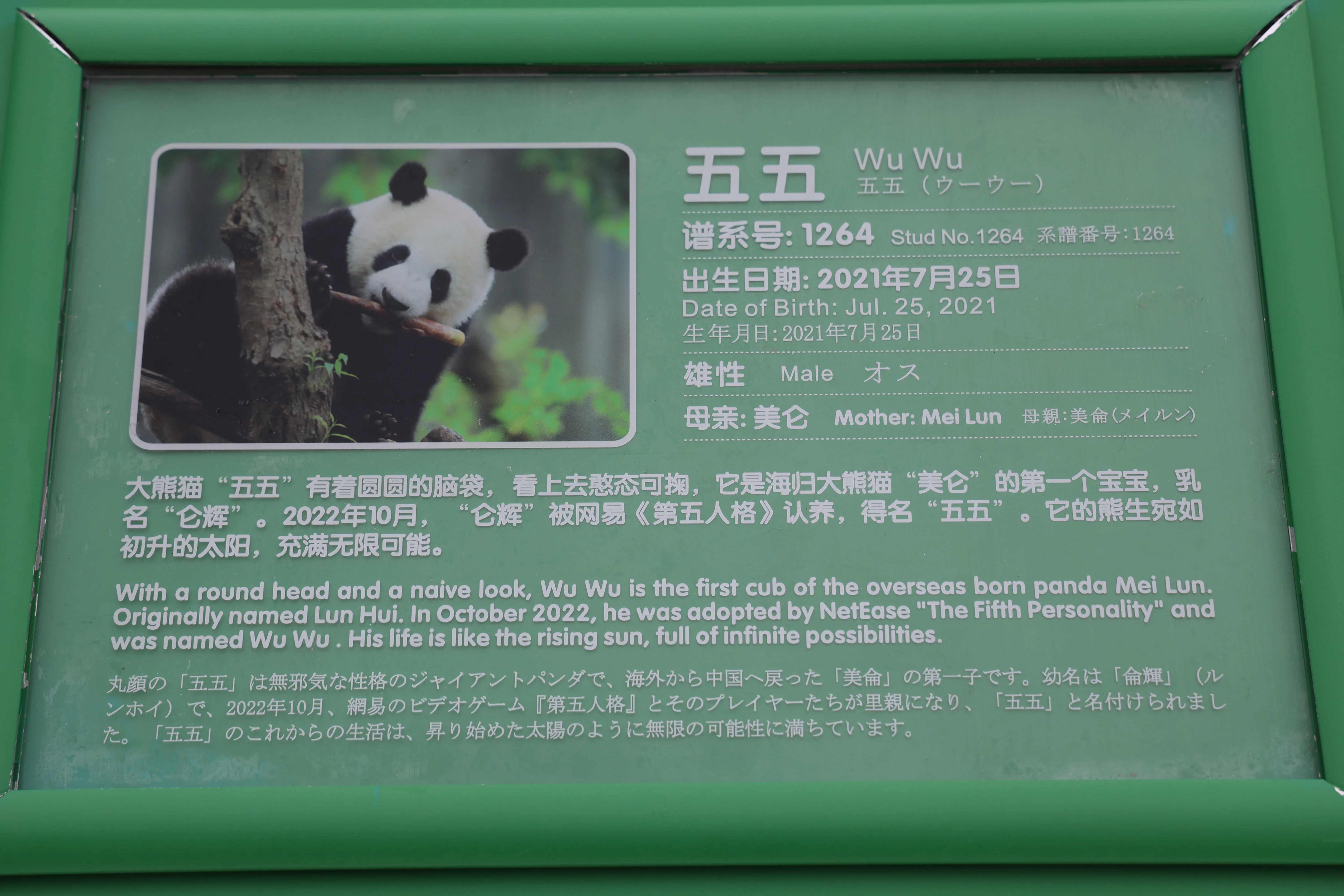 Lun Hui