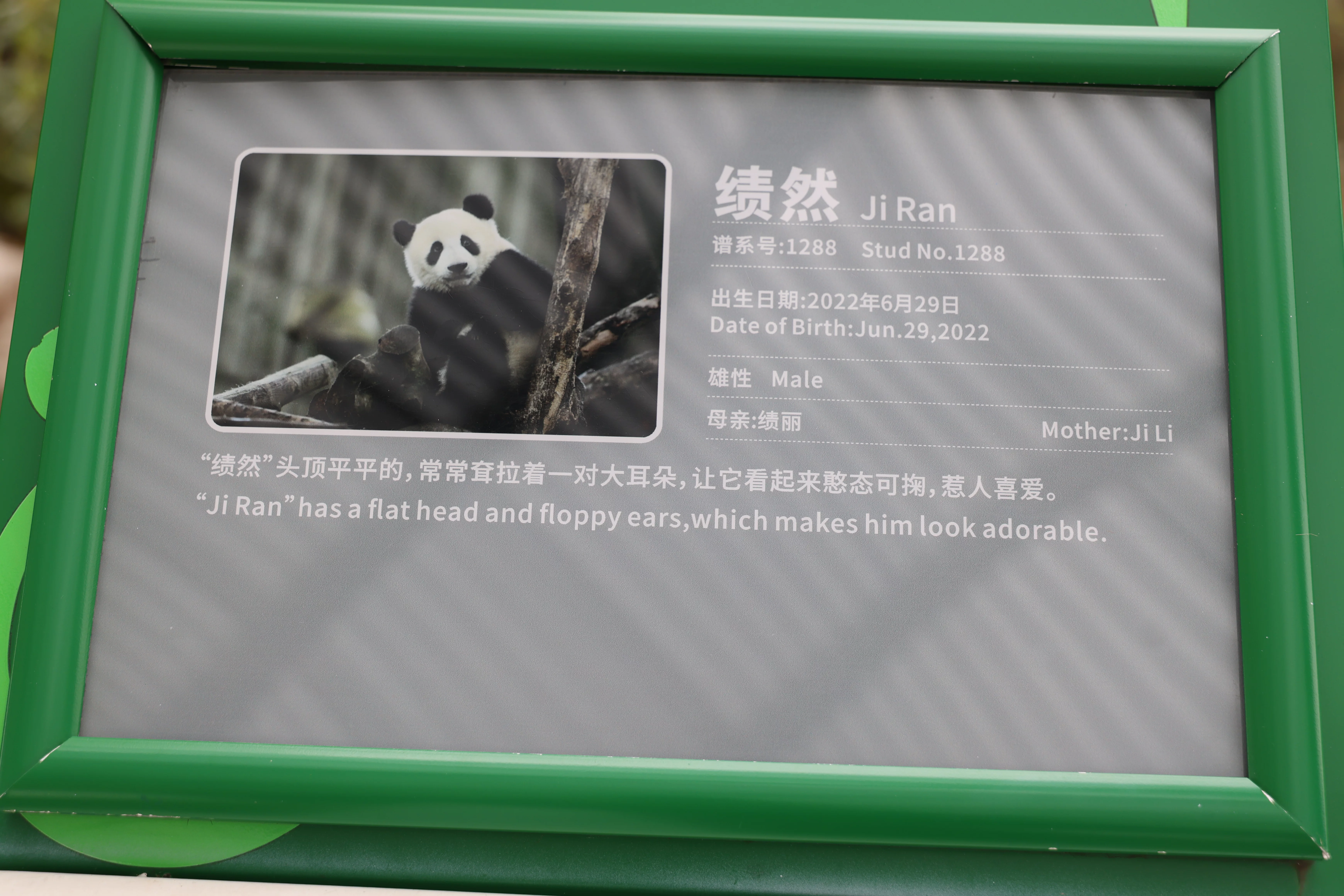 Ji Ran