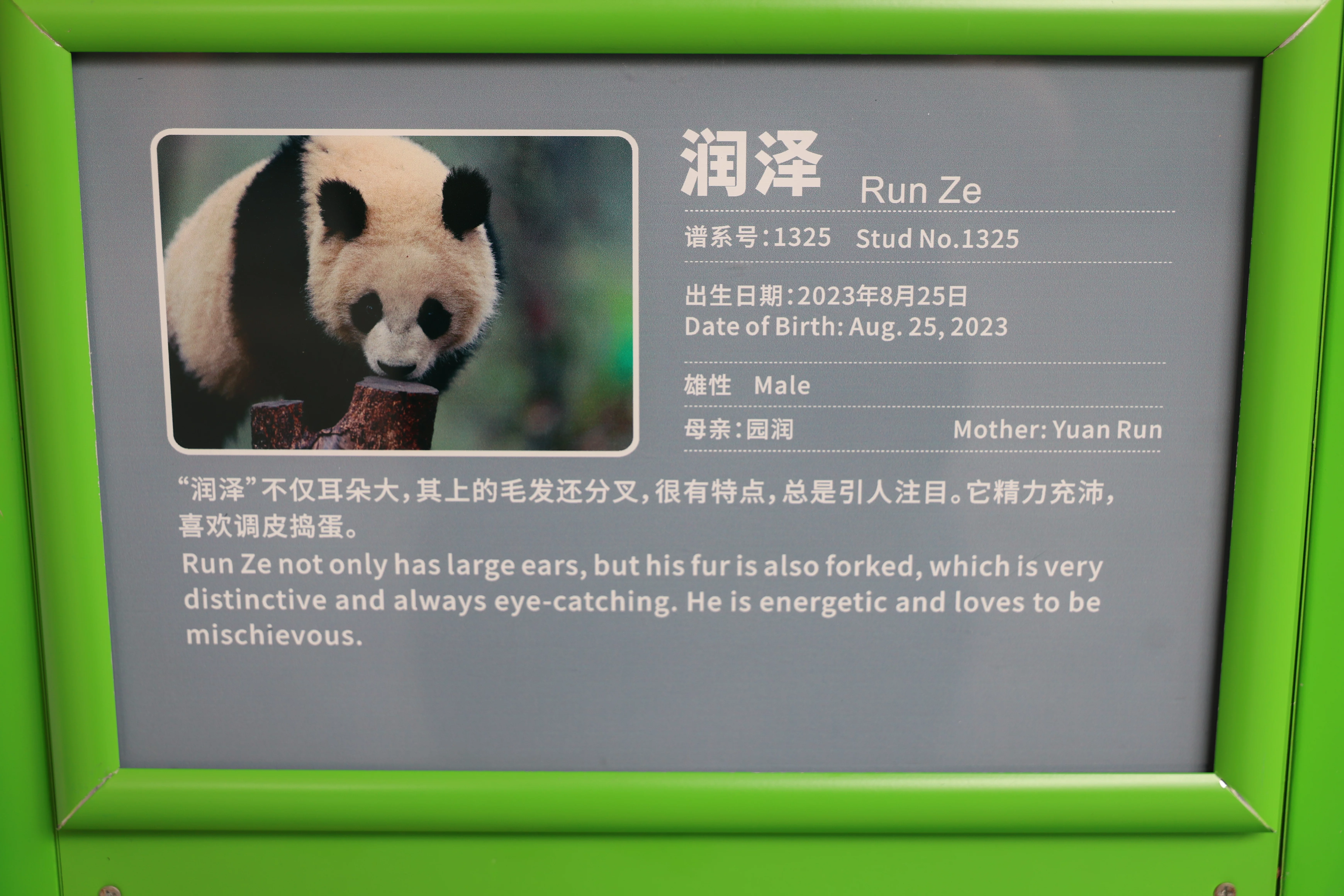 Run Ze
