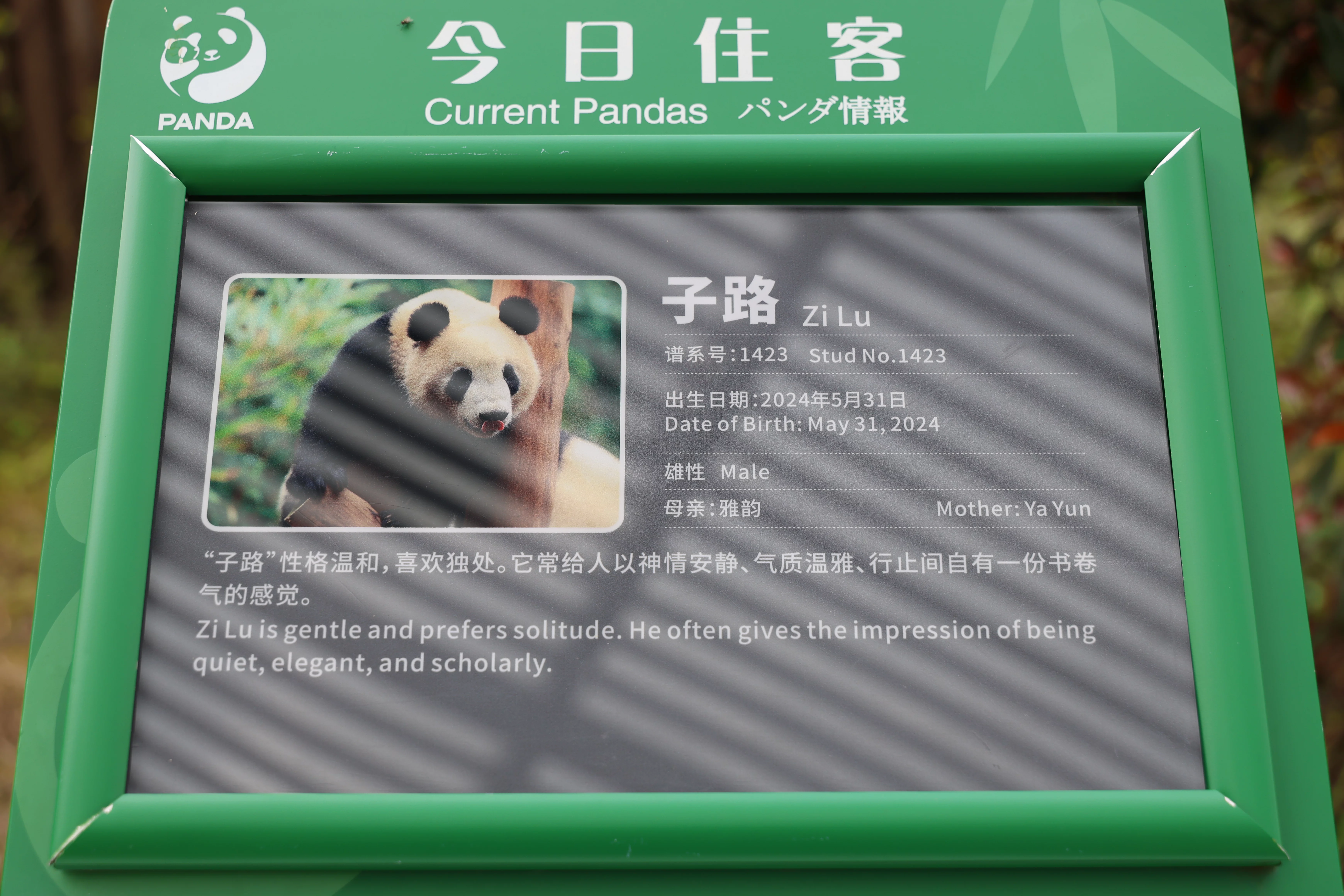 Zi Lu