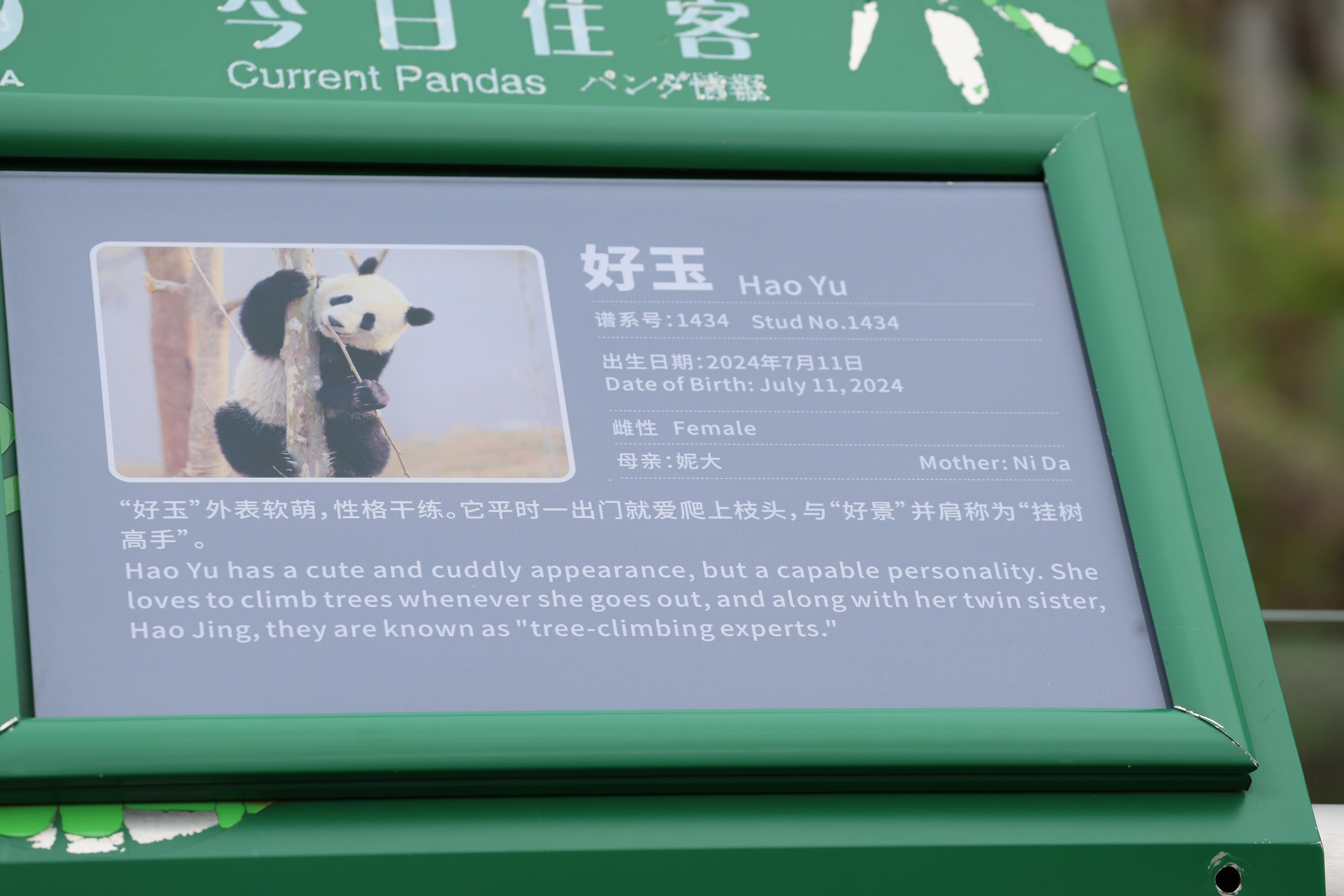 Hao Yu