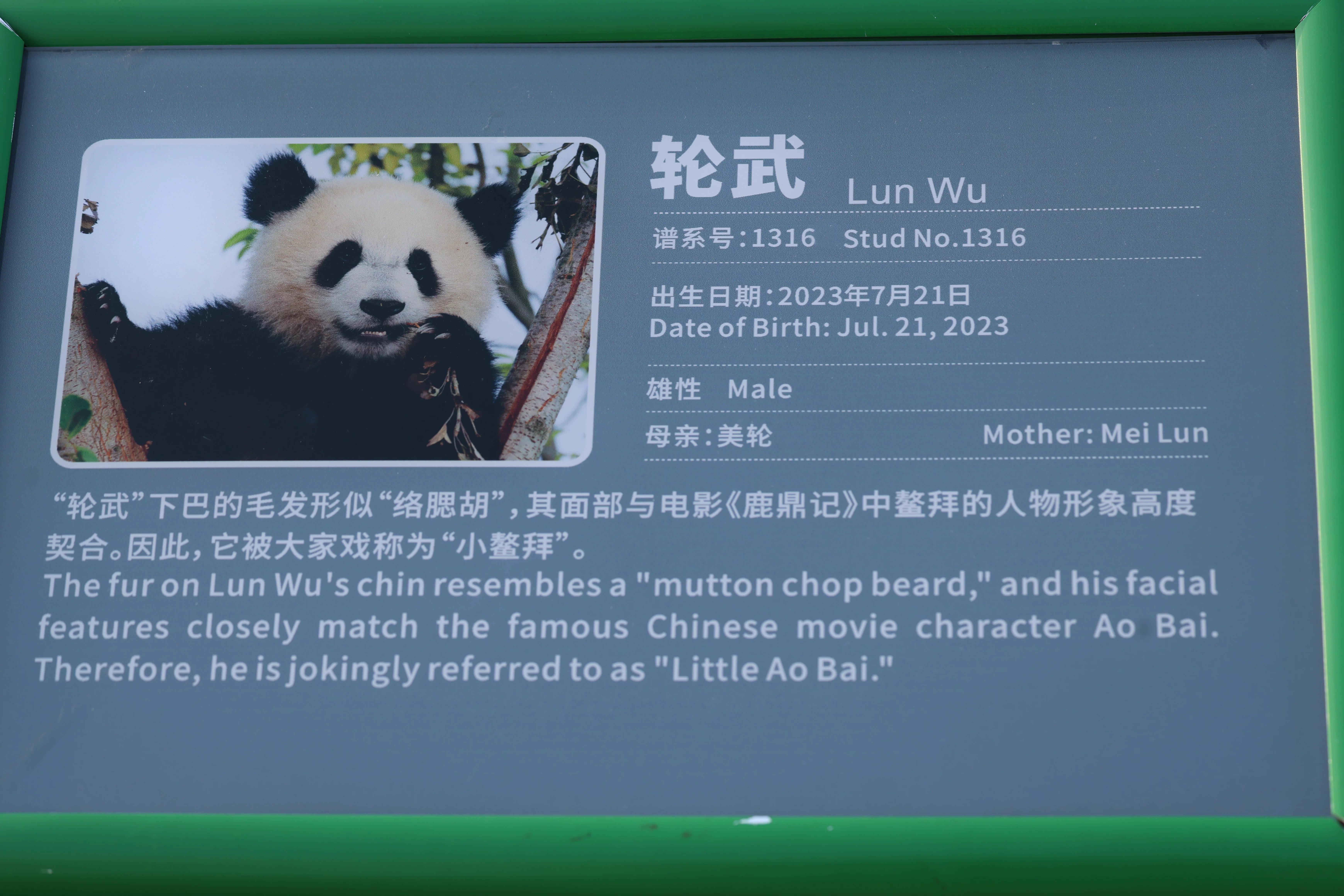 Lun Wu