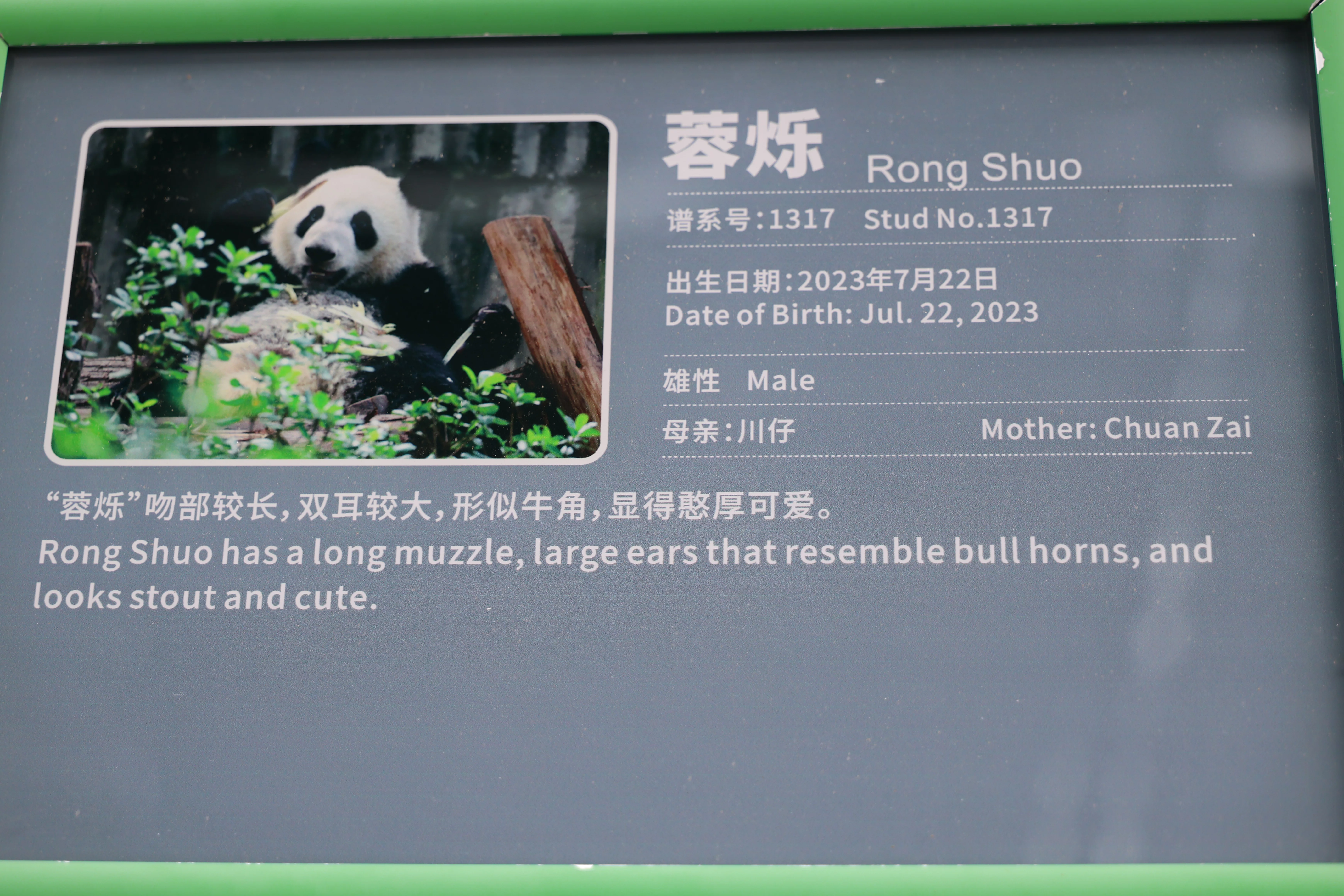 Rong Shuo