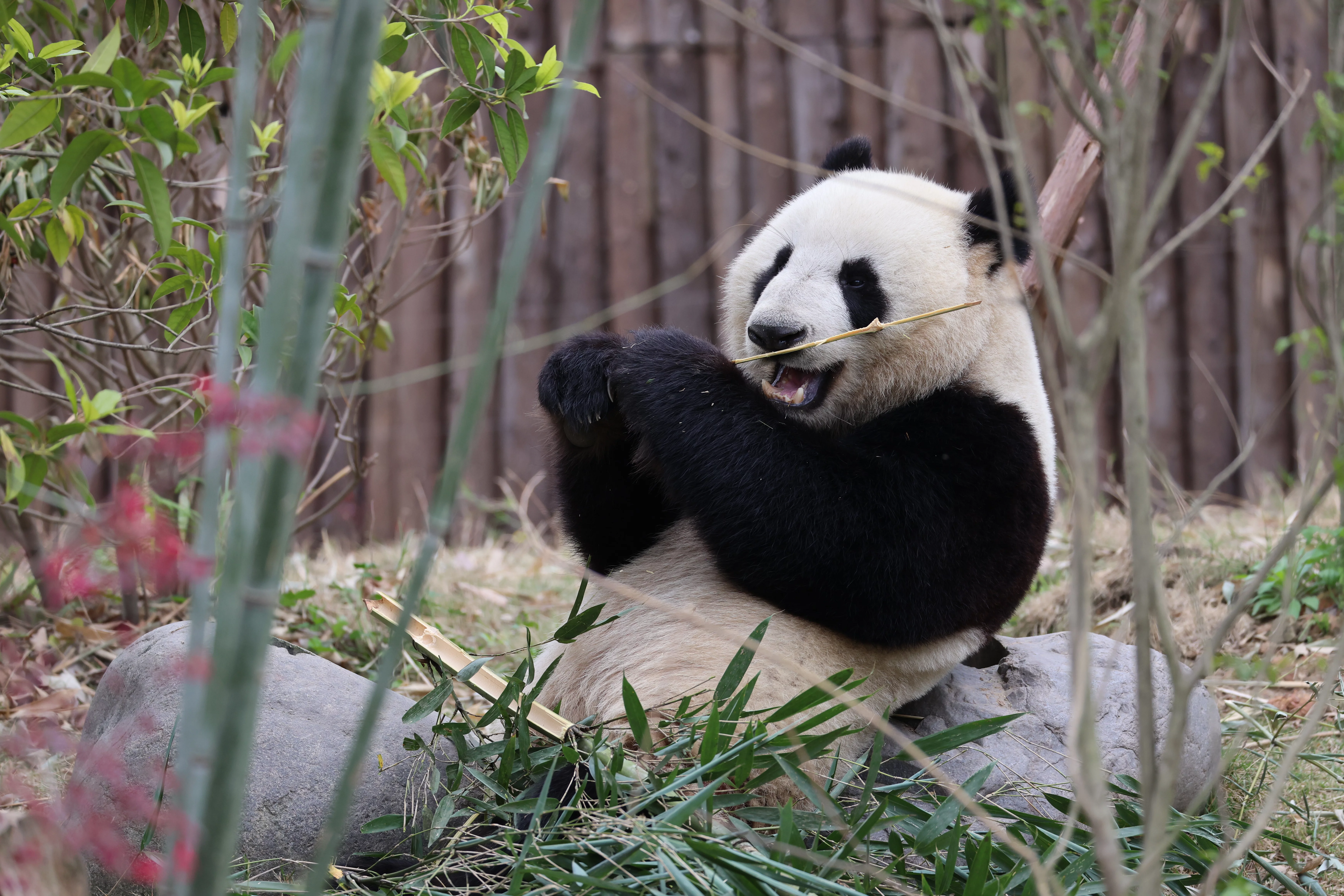 Ni Hao