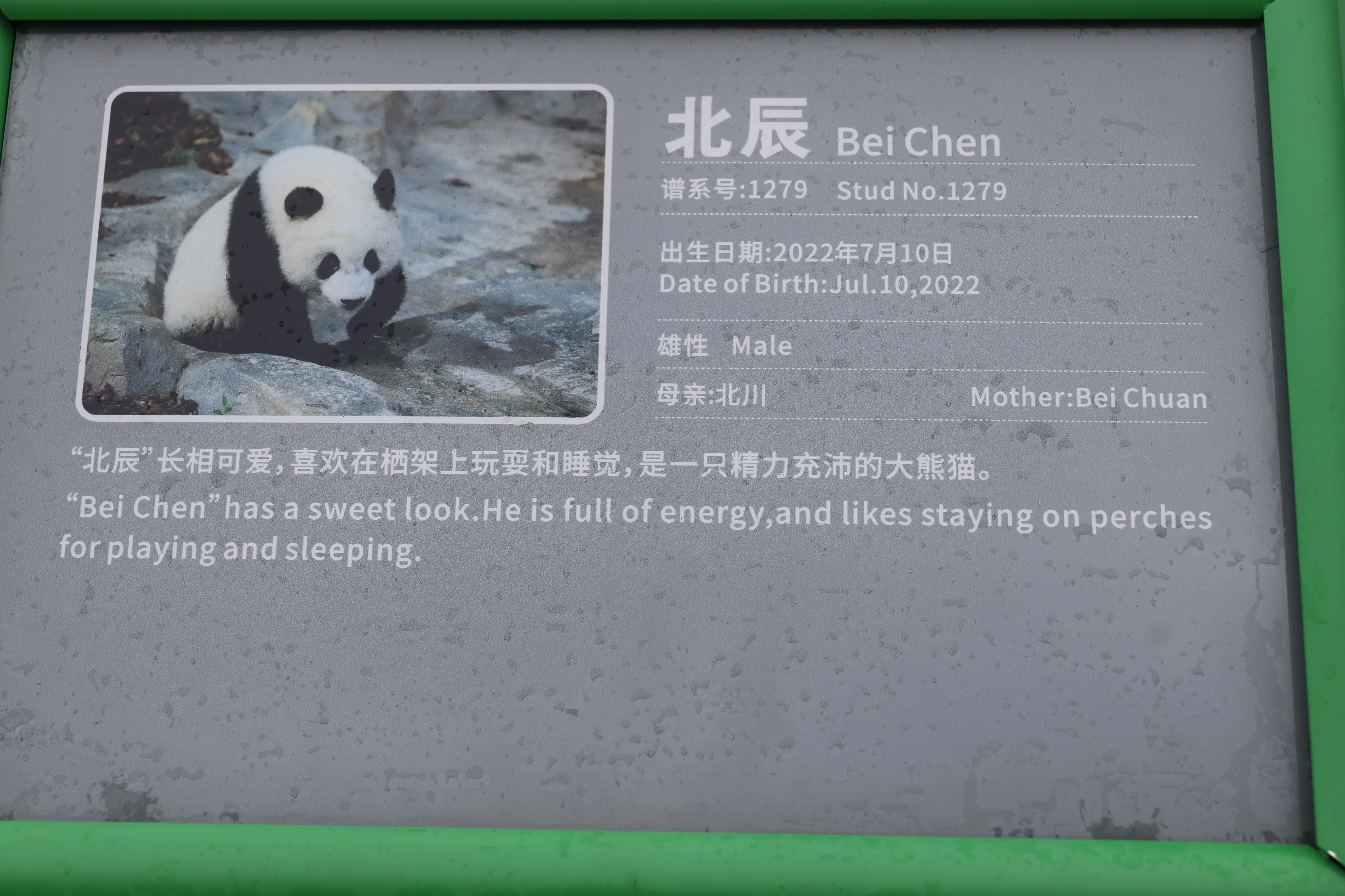 Bei Chen