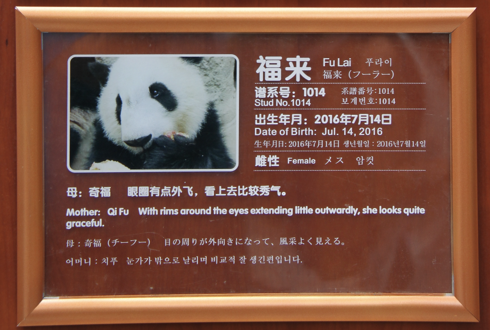 Fu Lai