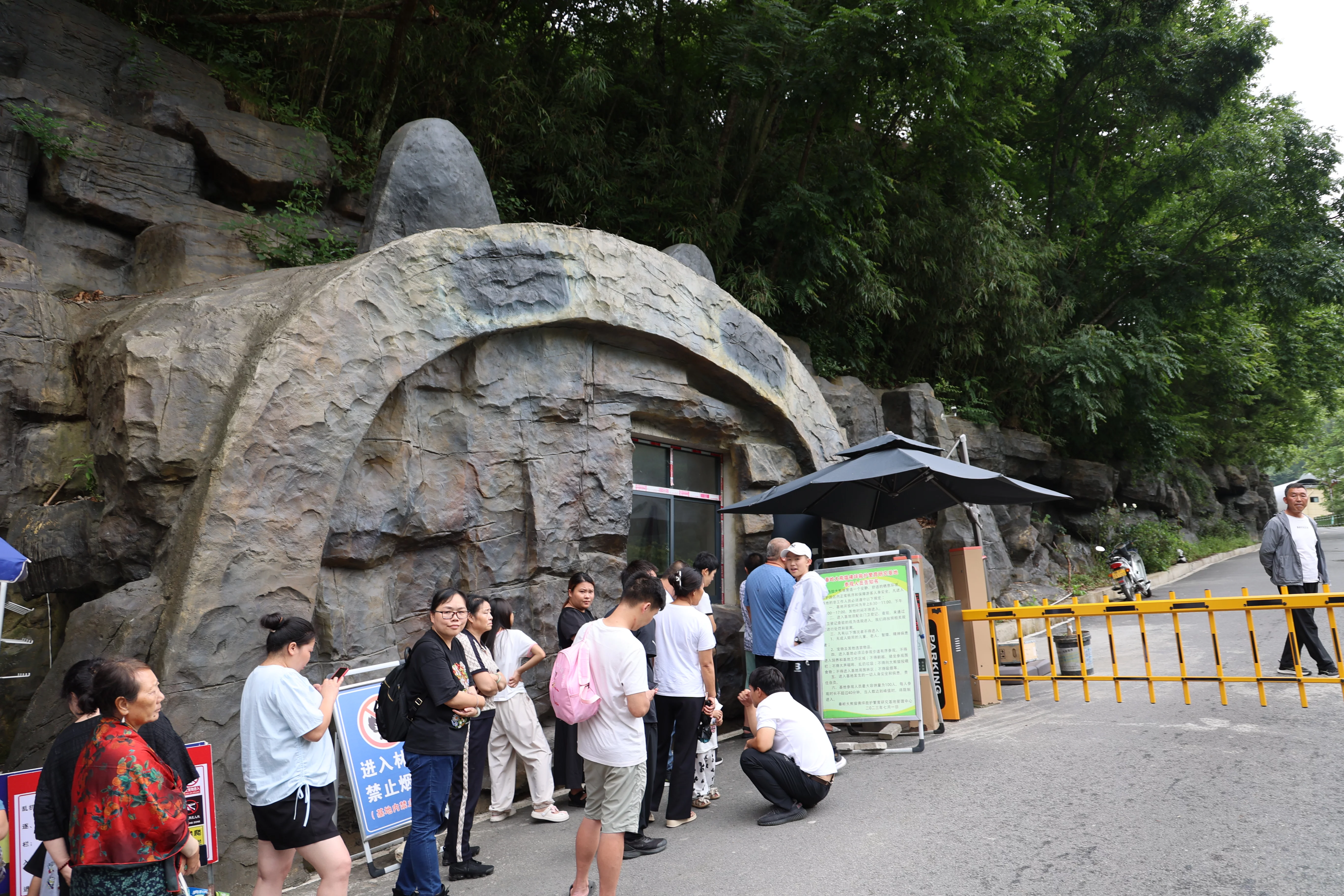 Qinling Giant Panda Foping Rescue BB