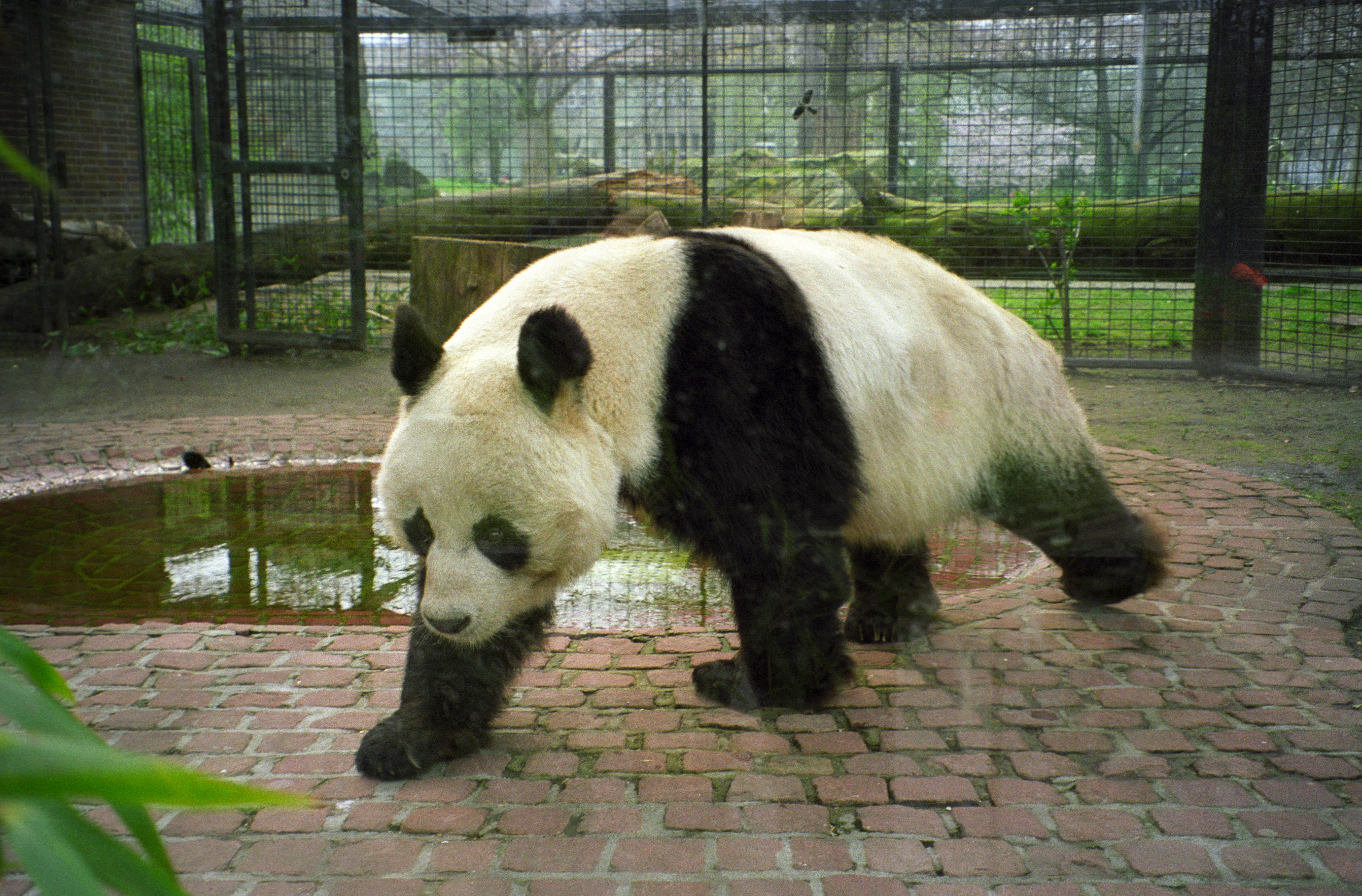 Zoo Berlin