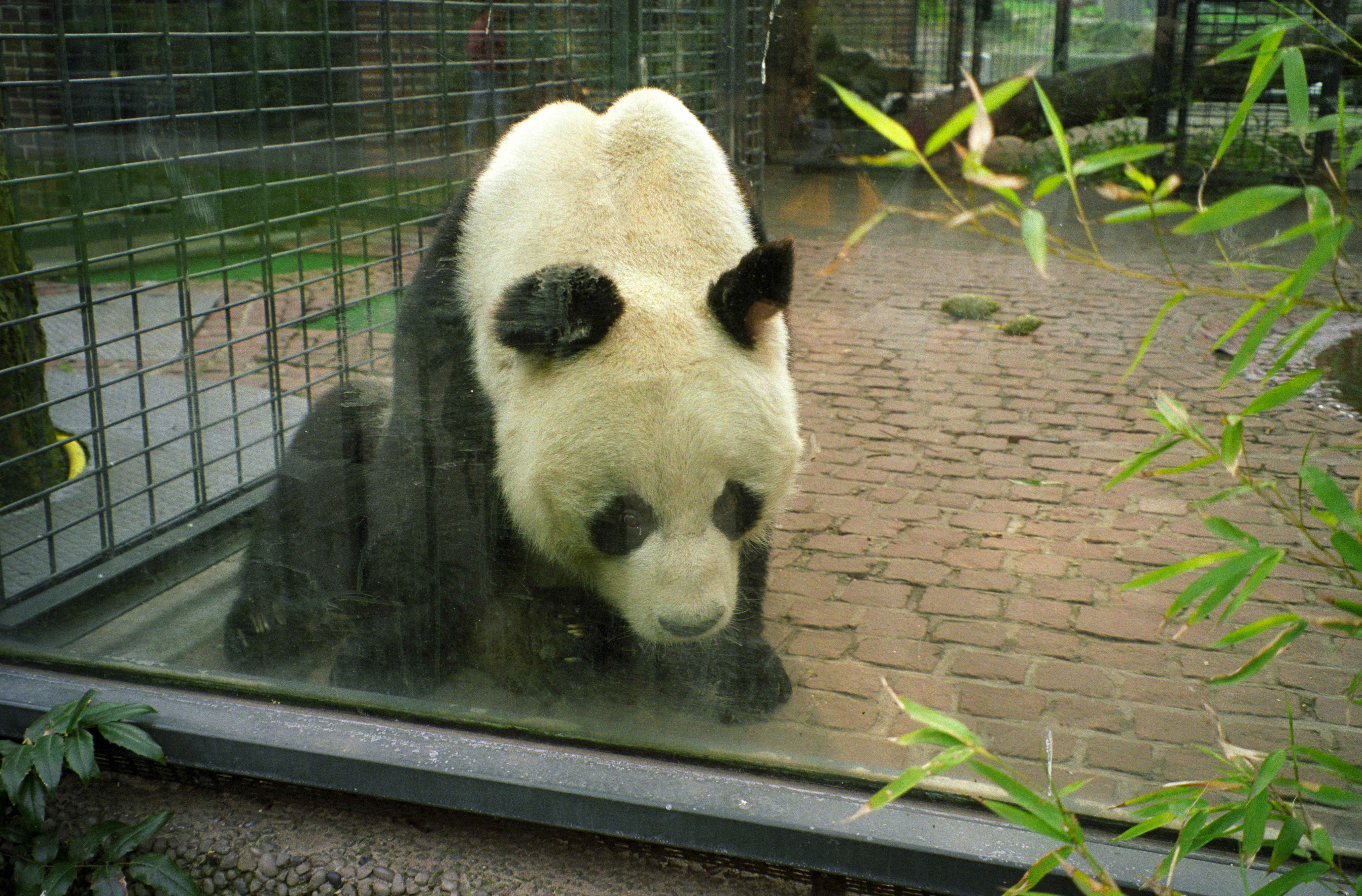 Zoo Berlin