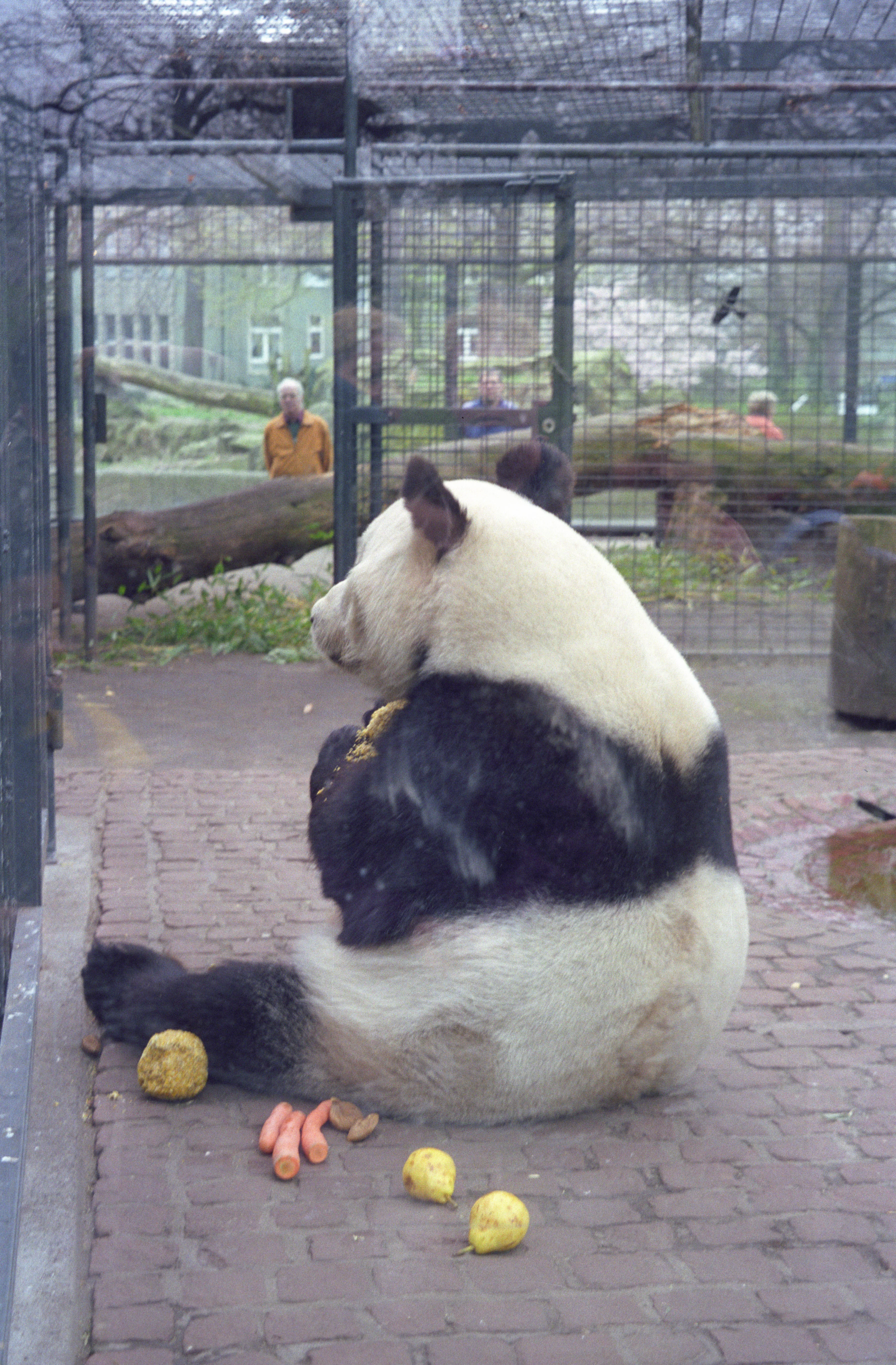 Zoo Berlin