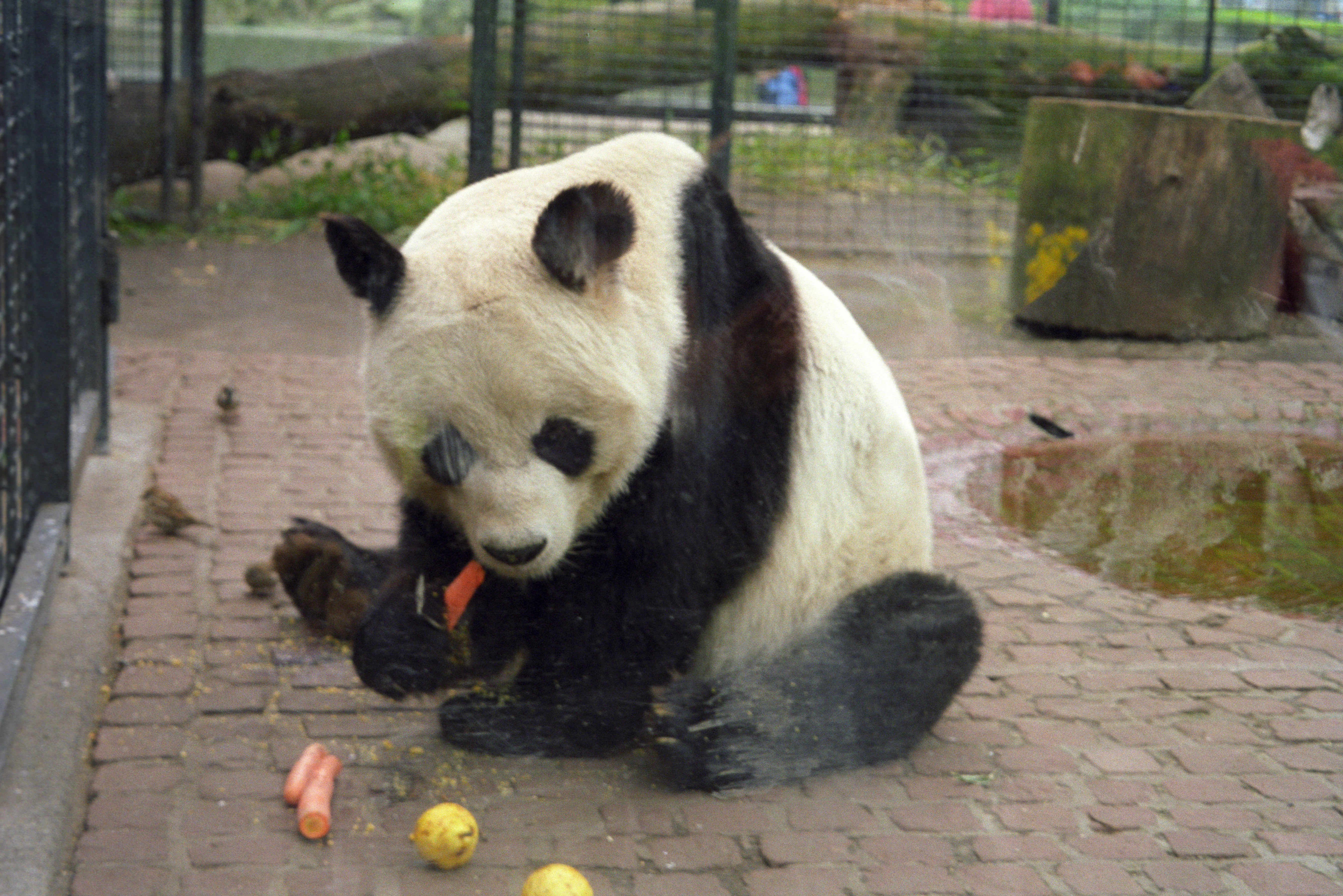 Zoo Berlin