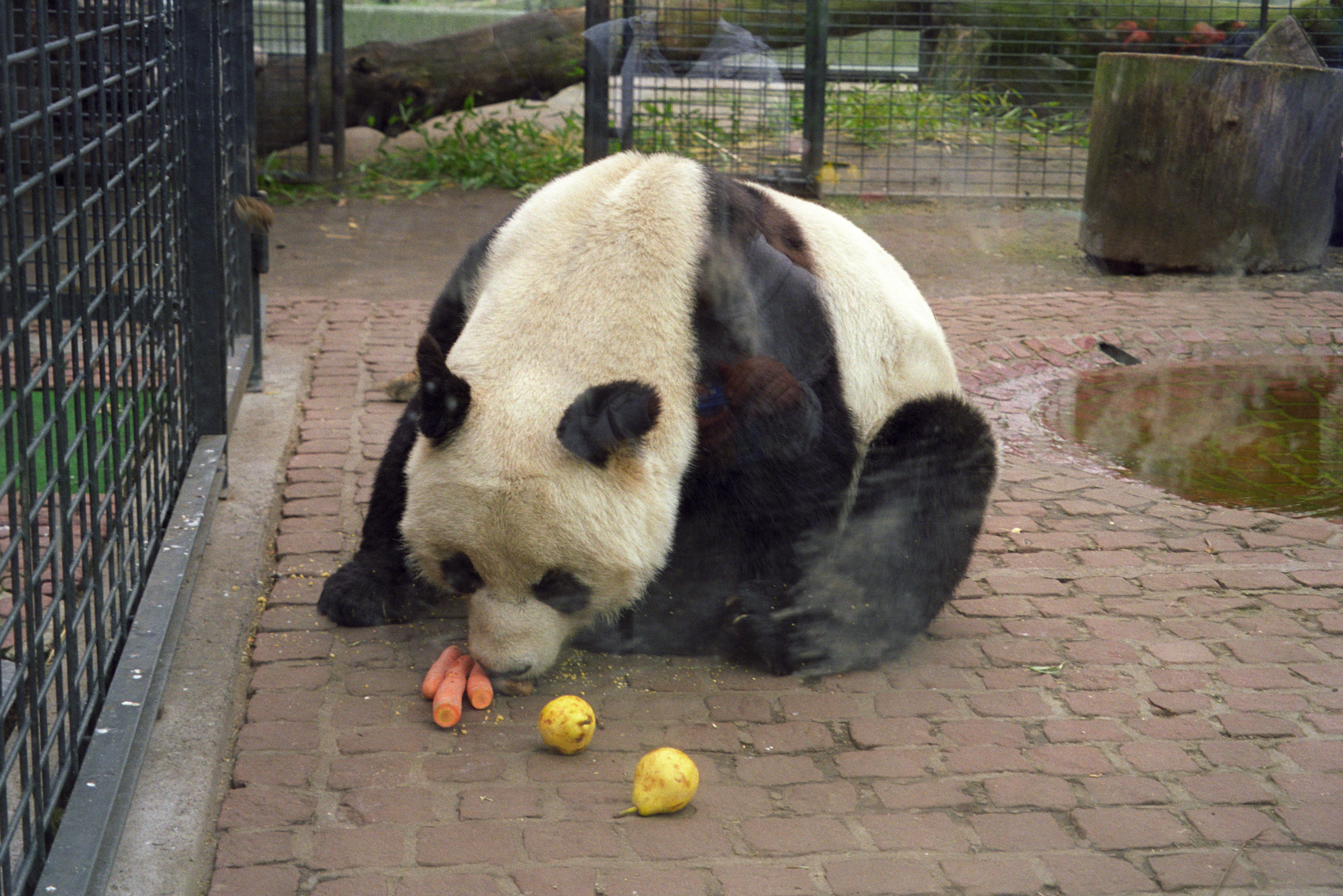 Zoo Berlin
