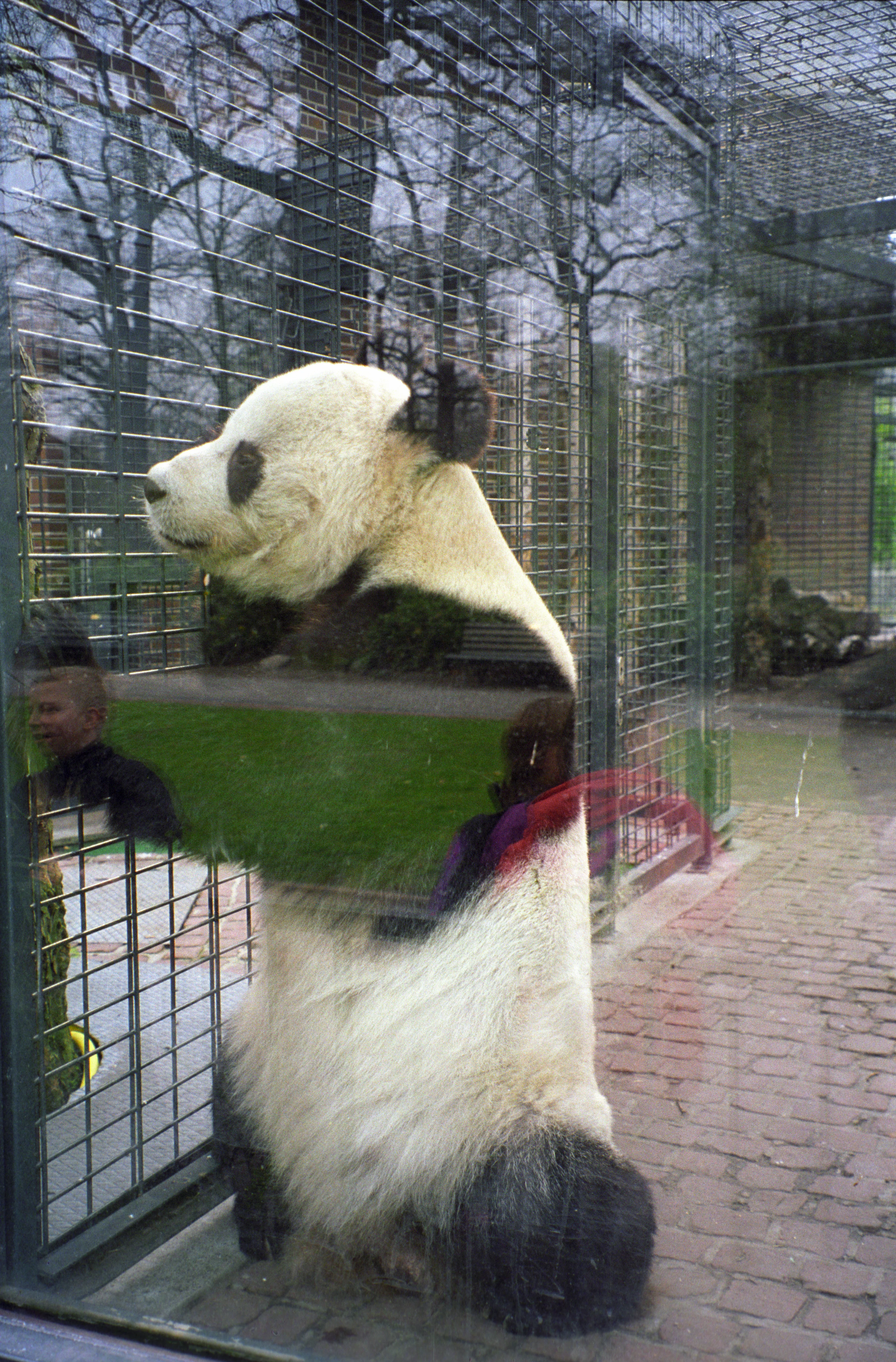 Zoo Berlin